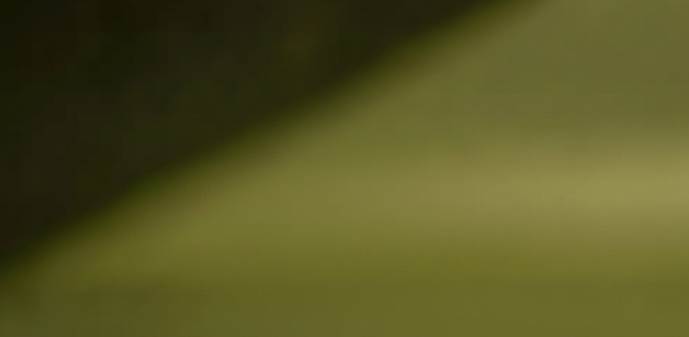 Endless Suncare - Sustainable SPF Protection